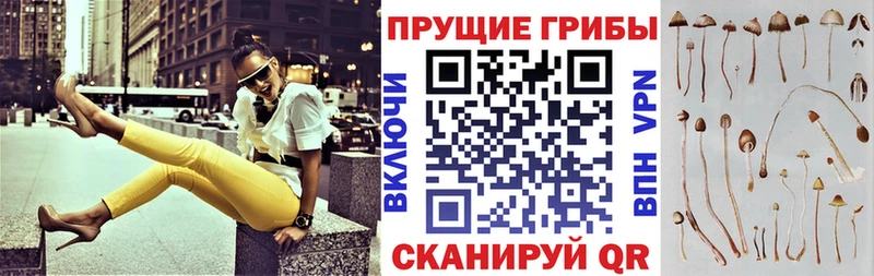 Псилоцибиновые грибы Magic Shrooms  Югорск 